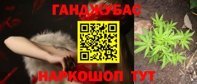 крисы Донской
