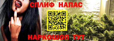 крисы Донской