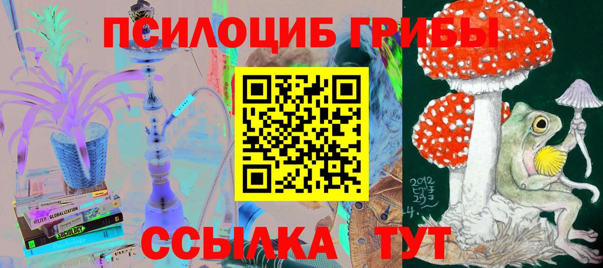 Псилоцибиновые грибы Psilocybe  Вход с VPN  закладки  Людиново 